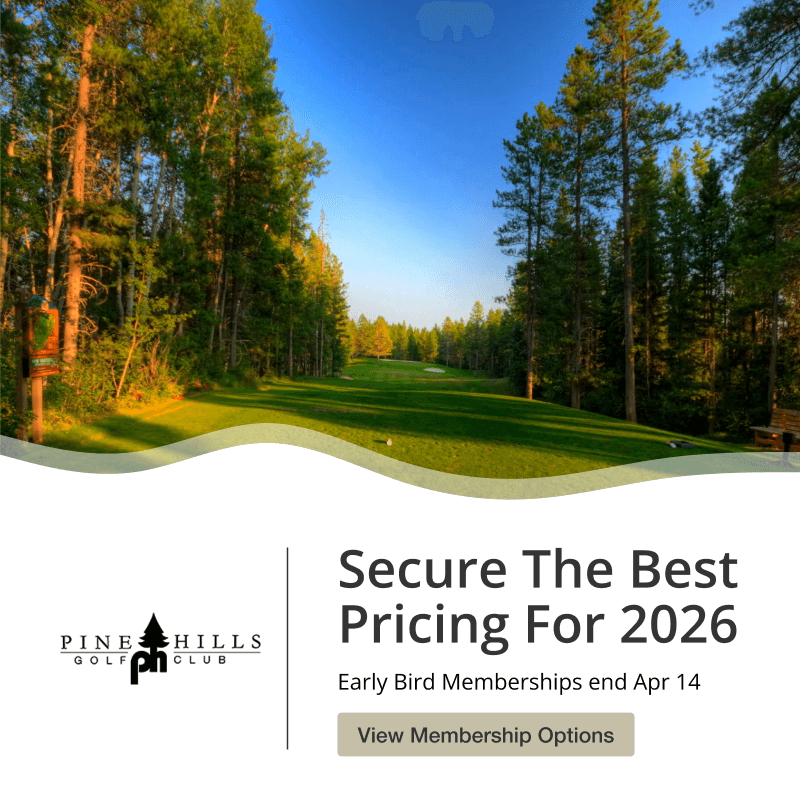 Pine_Hills_2025_Holiday Punch Card and Gift Cards